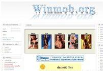 winmob.org - сайт о секретах windows, о функционировании сетей